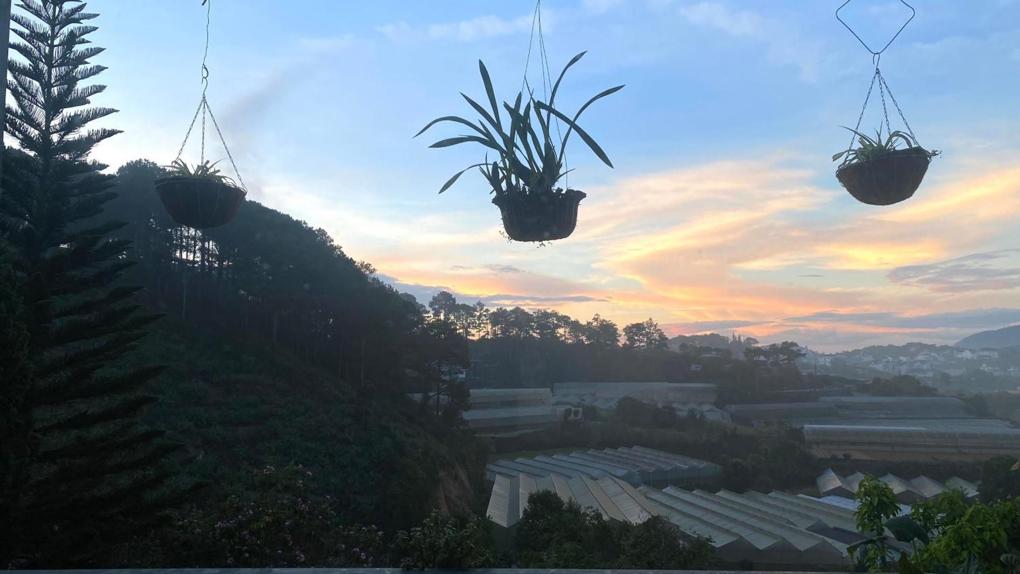 Mala Home & Coffee 大叻 外观 照片